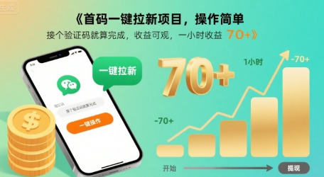 首码一键拉新项目，操作简单，接个验证码就算完成，收益可观， 一小时收益70+【揭秘】-鸿洪资源网
