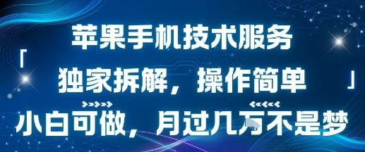 苹果手机技术服务，独家拆解，操作简单，小白可做，月过1W不是梦-鸿洪资源网