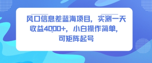风口信息差蓝海项目，实测一天收益4k+，小白操作简单，可矩阵起号-鸿洪资源网