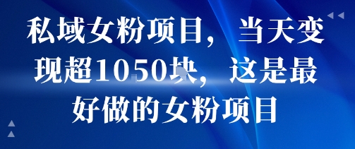 私域女粉项目，当天变现超1k，这是最好做的女粉项目，可放大操作-鸿洪资源网