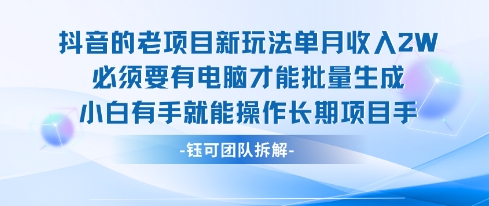 老项目新玩法单月收入2W小白有手就能操作长期项目-鸿洪资源网