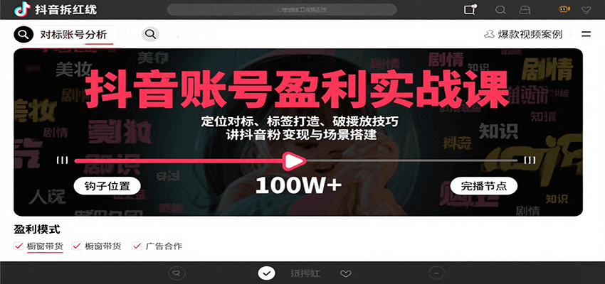 抖音账号盈利实战课，定位对标、标签打造、破播放技巧，讲涨粉变现与场景搭建-鸿洪资源网