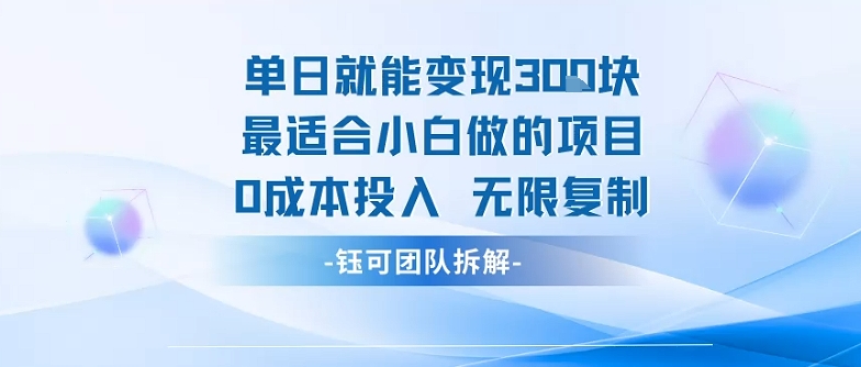 单日就能变现3张最适合小白做的项目0成本投入 无限复制-鸿洪资源网