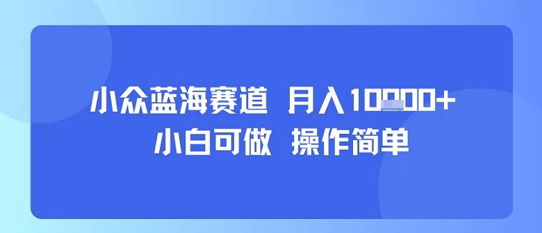 小众蓝海赛道，小白可做，操作简单，每天30分钟，月入1W+-鸿洪资源网
