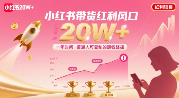 一年时间靠小红书带货项目年入20w+，最不能错的大红利项目-鸿洪资源网