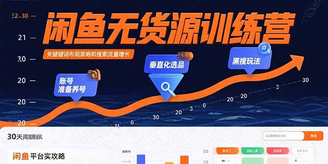 闲鱼无货源训练营：账号准备养号/垂直化选品/黑搜玩法，0基础30天盈利指南-鸿洪资源网