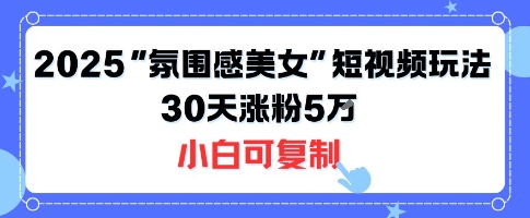 不露脸也能火！2025“氛围感美女”短视频玩法，30天涨粉5W小白可复制-鸿洪资源网