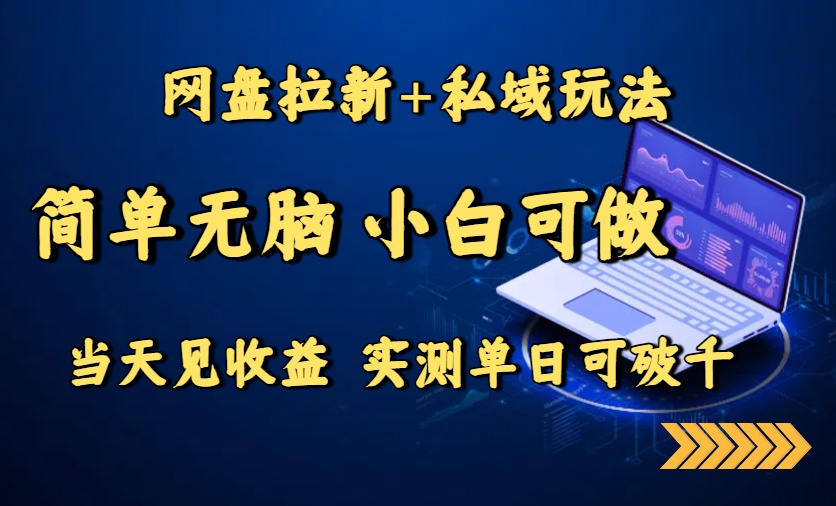网盘拉新+私域玩法，简单无脑，小白可做，当天见收益，实测单日可破千-鸿洪资源网