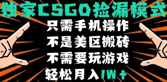 CSGO自动捡漏项目，最新独家玩法，不是美区搬砖，不需要了解和玩游戏，新手小白轻松月入1W+【揭秘】-鸿洪资源网
