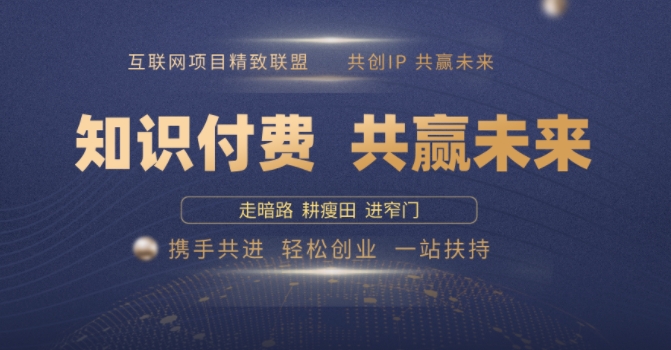 别人苦寻无果，为何他们靠知识付费卖项目 2025 年轻松年入100个?【揭秘】-鸿洪资源网