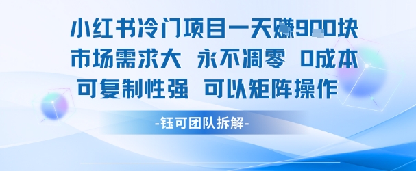 小红书冷门项目一天收益9张，市场需求大，0成本，可复制性强可以矩阵操作-鸿洪资源网