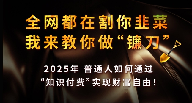 全网都在割你韭菜，我来教你做镰刀，2025年普通人如何通过 知识付费 实现财F自由【揭秘】-鸿洪资源网