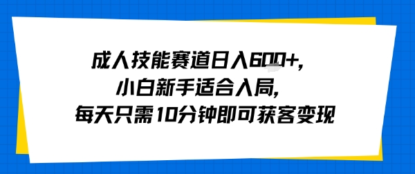 成人技能赛道日入多张，小白新手适合入局，每天只需10分钟即可获客变现-鸿洪资源网