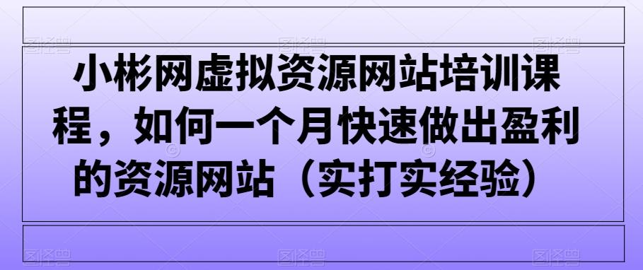 小彬网虚拟资源网站培训课程，如何一个月快速做出盈利的资源网站(实打实经验)-鸿洪资源网