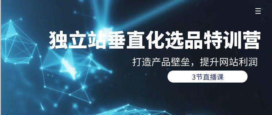 (9925期)独立站-垂直化选品训练营，打造产品壁垒，提升网站利润(3节直播课)-鸿洪资源网
