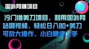 冷门撸美刀项目，利用国外网站刷视频，轻松日入80+美刀，可放大操作，小白随便上手-鸿洪资源网
