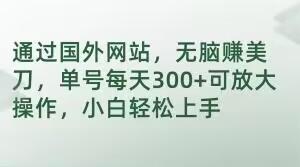 通过国外网站，无脑赚美刀，单号每天300+可放大操作，小白轻松上手【揭秘】-鸿洪资源网