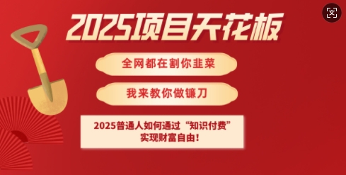 2025项目天花板普通人如何通过知识付费，实现财F自由【揭秘】-鸿洪资源网