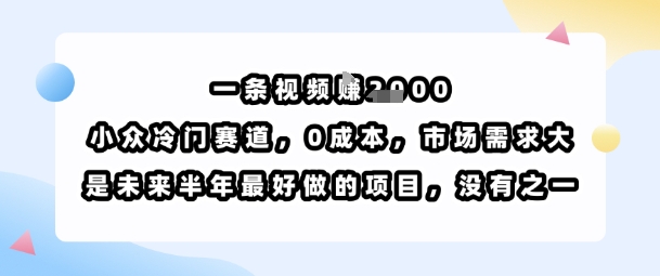 一条视频挣1k，小众冷门赛道，0成本，市场需求大，是未来半年最好做的项目，没有之一-鸿洪资源网