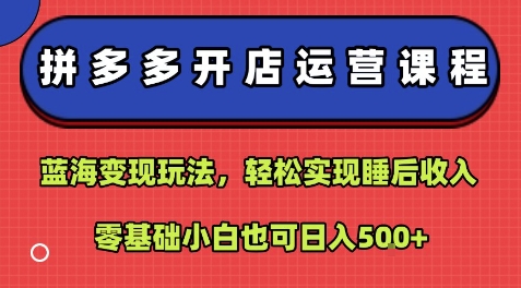拼多多开店运营课程：蓝海变现玩法，轻松实现睡后收入，零基础小白也可日入5张-鸿洪资源网