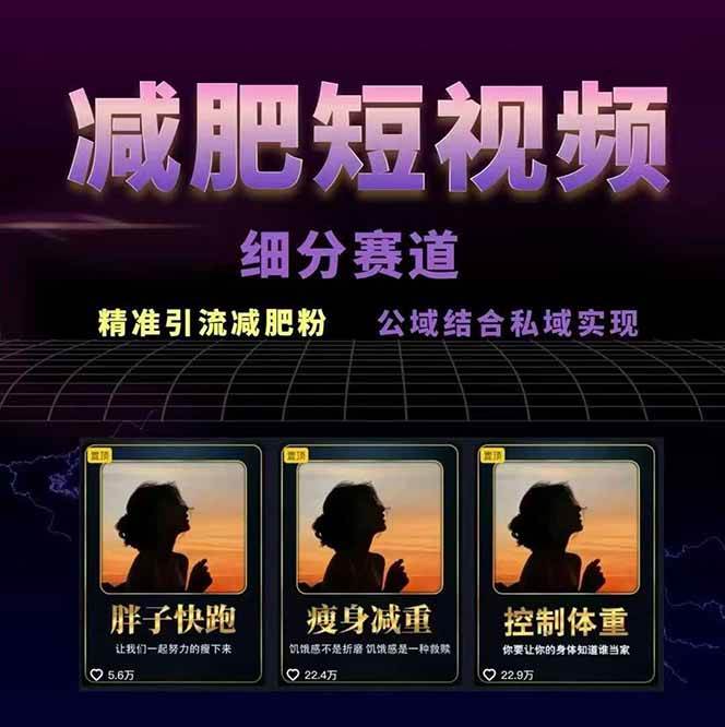 图片[2]-减肥短视频运营实战课：含素材制作、剪映教学，讲精准引流、变现设计与内容模板技巧-鸿洪资源网