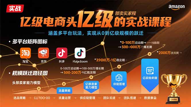 亿级电商头部卖家的实战课程：涵盖多平台玩法，实现从0到亿级规模的跃迁-鸿洪资源网