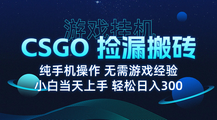 8月最新游戏搬砖，CSGO纯挂机，不需要玩游戏，实现真挂机，月入1W+-鸿洪资源网