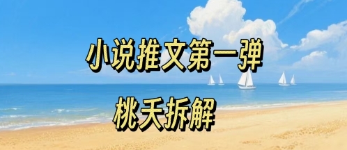 小说推文项目操作全流程第一弹，0粉就能做，门槛低非常适合新手-鸿洪资源网