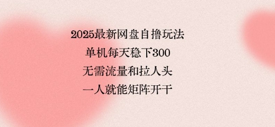 2025最新网盘自撸玩法，单机每天稳下3张，无需流量和拉人头，一个人就可轻松矩阵，全网独一份【揭秘】-鸿洪资源网