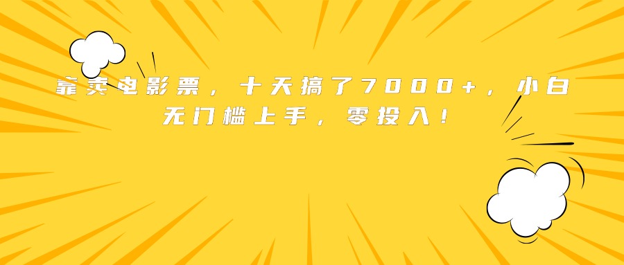 靠卖电影票，十天搞了7000+，小白无门槛上手，零投入！-鸿洪资源网