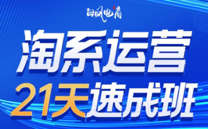 白凤电商·淘系运营21天速成班(更新8月)-鸿洪资源网