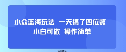 小众蓝海玩法 一天搞了四位数 小白可做 操作简单-鸿洪资源网