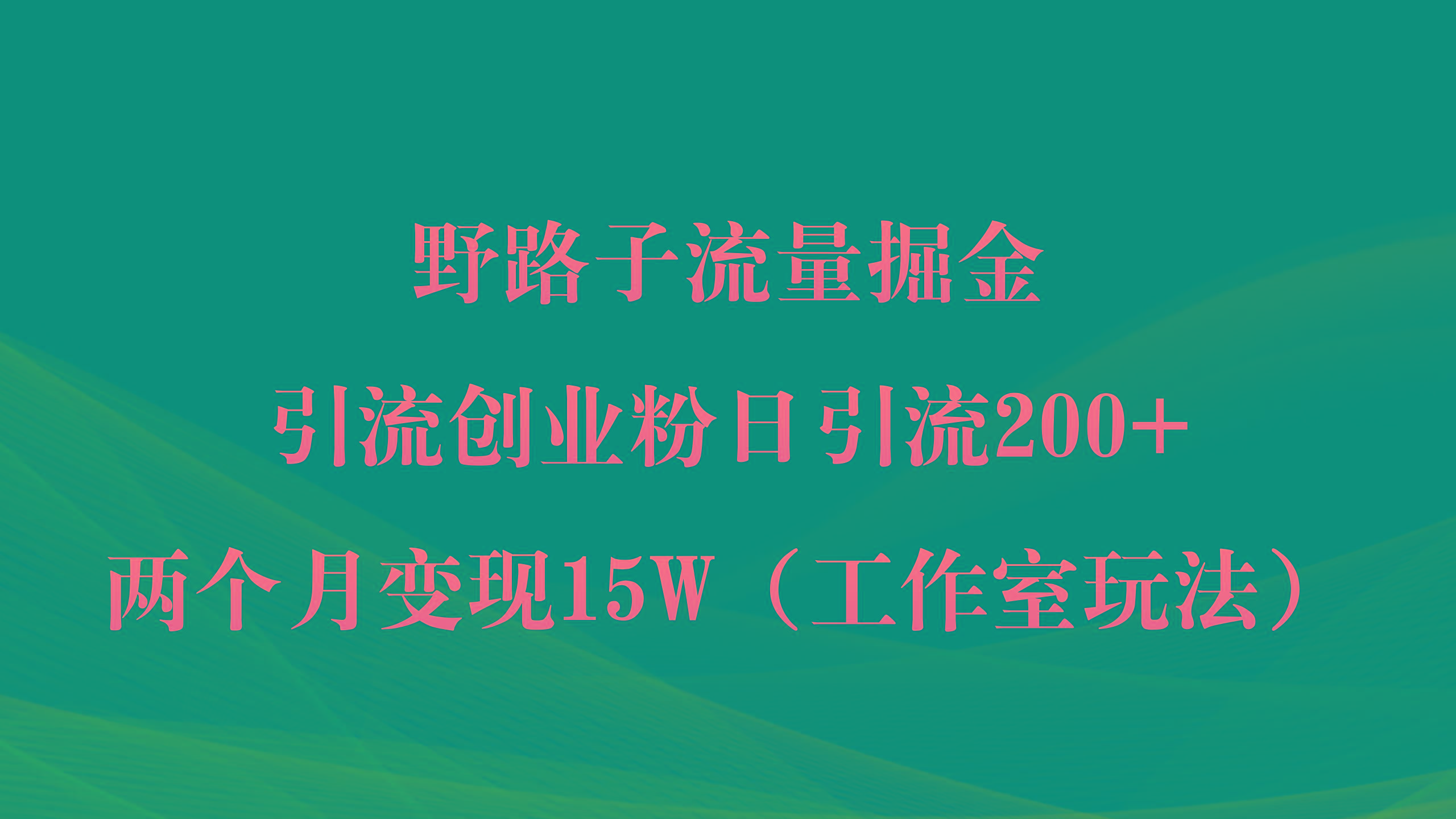 (9513期)野路子流量掘金，引流创业粉日引流200+，两个月变现15W(工作室玩法))-瀚洪创业网
