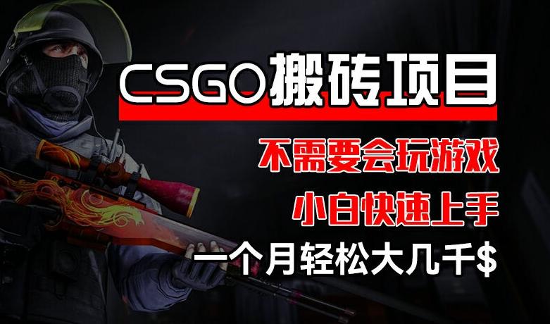 CSGO 装备搬砖项目，操作简单，不需要会玩游戏，小白也能快速上手，一个月轻松大几千【揭秘】-瀚洪创业网