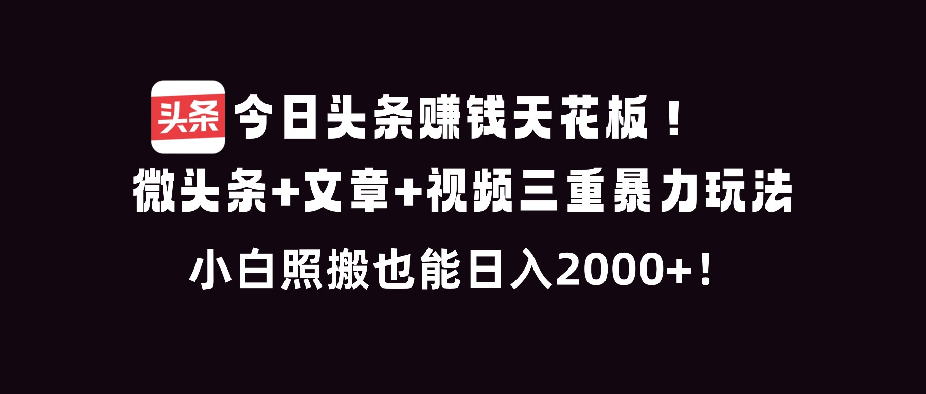 今日头条赚钱天花板！微头条+文章+视频三重暴利玩法，小白照搬也能日人2000+-瀚洪创业网