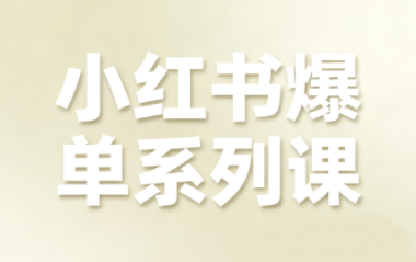 尼采老师·小红书爆单系列课-瀚洪创业网