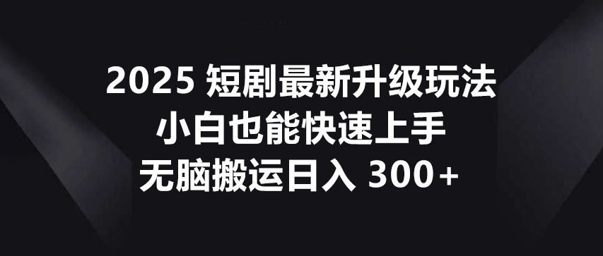 2025短剧最新升级玩法，小白也能快速上手，无脑搬运日入300+-瀚洪创业网