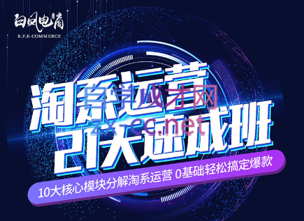 淘系运营21天速成班(更新24年6月)-瀚洪创业网