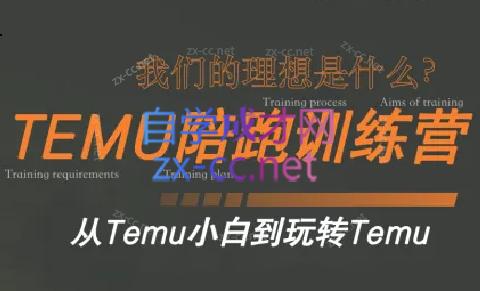 苗苗·拼多多跨境（temu）课程-瀚洪创业网