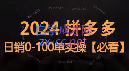 恒哥·2024拼多多日销0-100单实操-瀚洪创业网