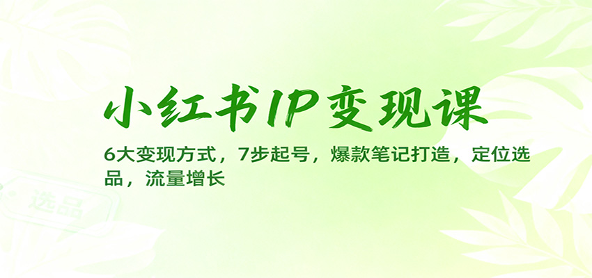 小红书IP变现课：6大变现方式，7步起号，爆款笔记打造，定位选品，流量增长-瀚洪创业网