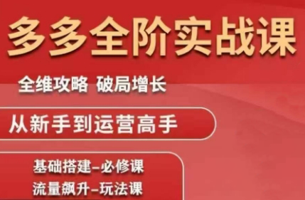 大炮·拼多多全阶实战课程(更新2026)-瀚洪创业网