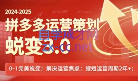 大力老师·2024拼多多运营策略蜕变3.0-瀚洪创业网