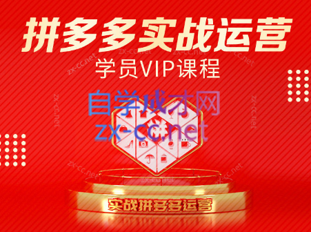 推易电商·拼多多实战运营课(更新2025月)-瀚洪创业网
