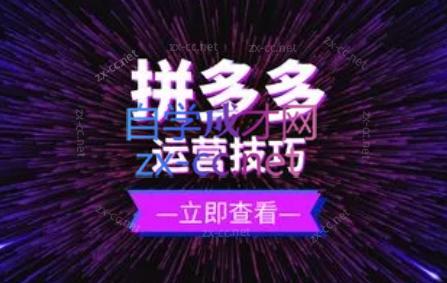 力辛电商·拼多多强付费店群玩法-瀚洪创业网