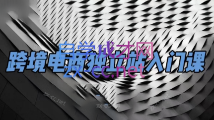 团长·跨境电商独立站入门课(2小时精华)-瀚洪创业网