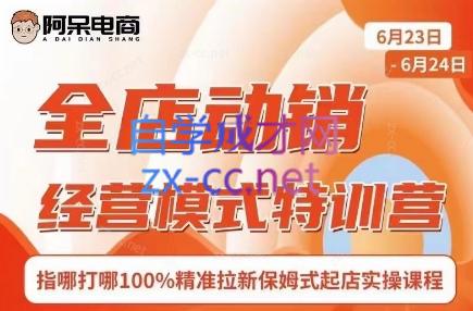 阿呆电商·全店动销经营模式特训营(线下录音+思维导图)-瀚洪创业网