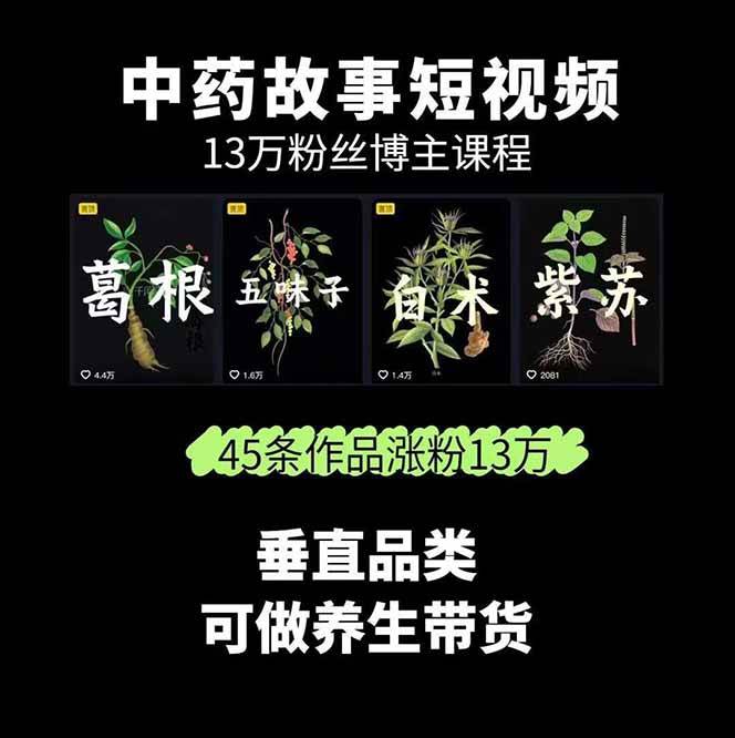 图片[2]-中药文化赛道：溯源故事开发，AI工具实战，平台运营，全方位解锁中医流量变现新路径-瀚洪创业网