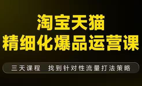 猫课子幽·淘宝天猫精细化爆品运营【音频+字幕+文档】(9月12-14杭州线下课)-瀚洪创业网