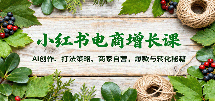 小红书电商增长课：AI创作、打法策略、商家自营，爆款与转化秘籍-瀚洪创业网
